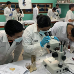 Estudiantes de quinto año de Ingeniería Agroindustrial desarrollan laboratorio de prácticas supervisadas